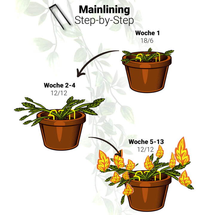 Mainlining Set für den Anbau und unterbinden
